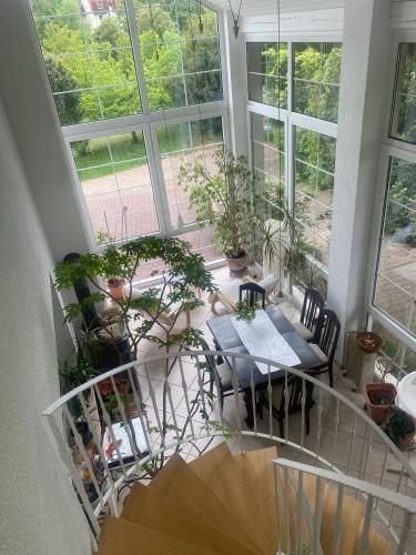 Im schönen Garten in Haldensleben, Deutschland