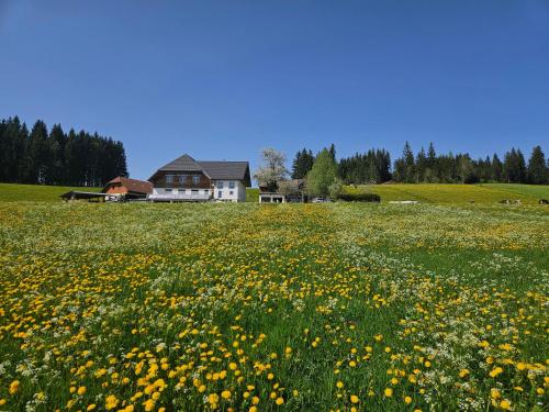 Lorenzenhäusle Titisee-Neustadt in Titisee-Neustadt, Deutschland