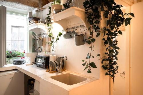 Kitchen, Suite Carlomaria in Ceglie in Ceglie Messapica