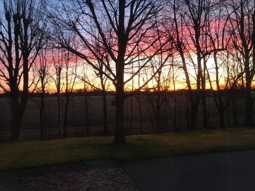 Hotelli välisilme, Ferienhof Ibs in Kronprinzenkoog