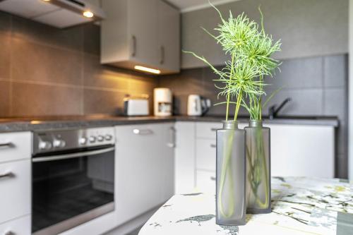 köök, Ferienhof Ibs in Kronprinzenkoog