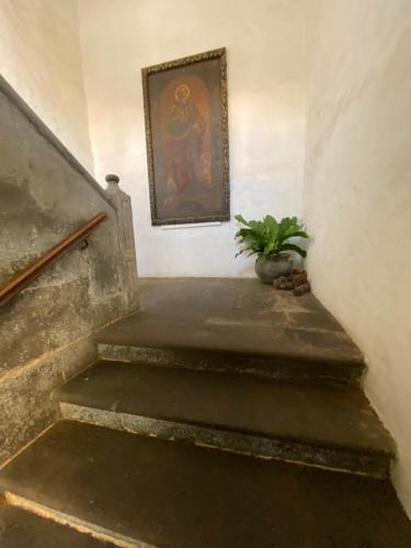 Casa Montesdeoca - Jacaranda - image 4