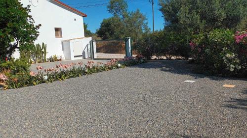 Exterior view, Adelino Guest House in Arrochela