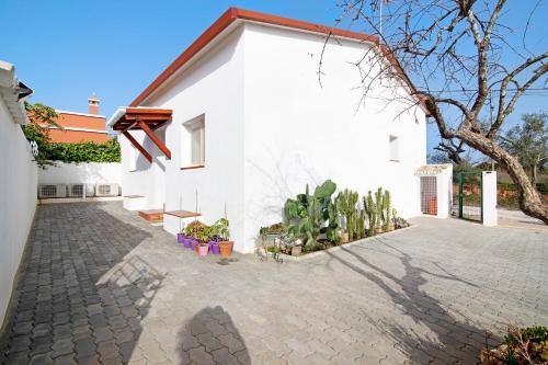Exterior view, Adelino Guest House in Arrochela