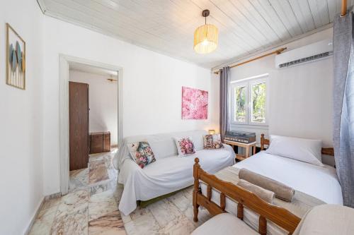 外觀, Cottage Ambelaki in 安提帕克索斯