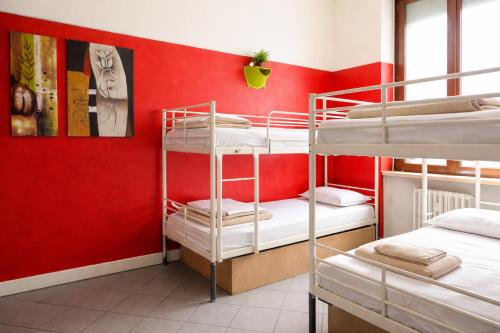 Koala Hostel Room Type - Bed in 6-Bed Mixed Dormitory Room