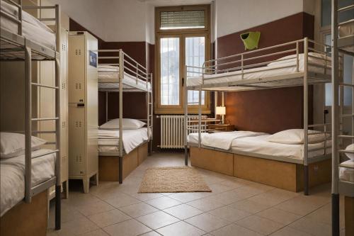 Koala Hostel