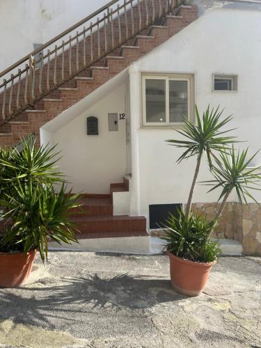 Casa Vacanze Flora 2
