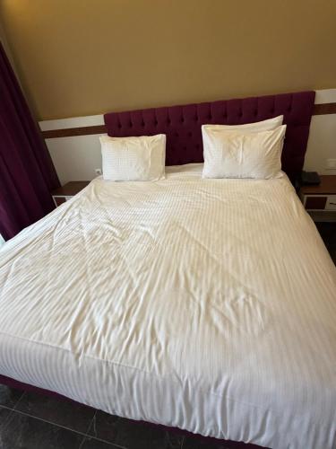 Olive Hotel - image 7