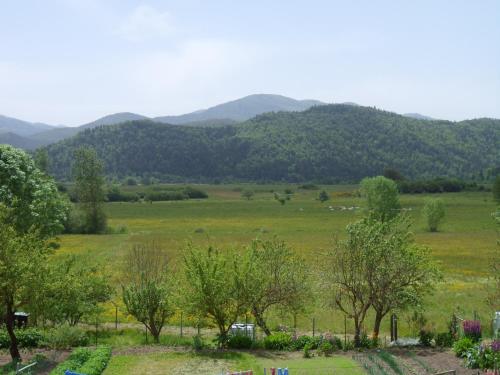 Viesnīcas āriene, Maison - Chez Léontine (Maison - Chez Leontine) in Roquefeuil