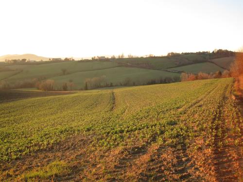 La Pietra Rara B&B