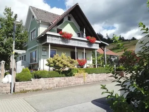 Green House in Baiersbronn, Deutschland