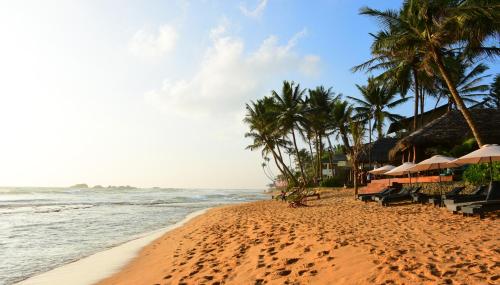 strand, Mali Guest House in Hikkaduwa