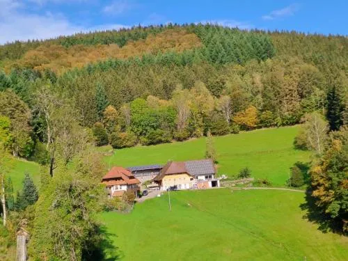 Ferienwohnung Hof in Wolfach, Deutschland