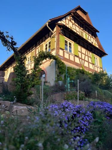 Fewos Weingut Pieper Basler - Gifiz-See