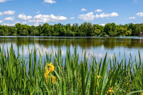 Fewo am Stadtsee - Bad Waldsee in Bad Waldsee, Deutschland