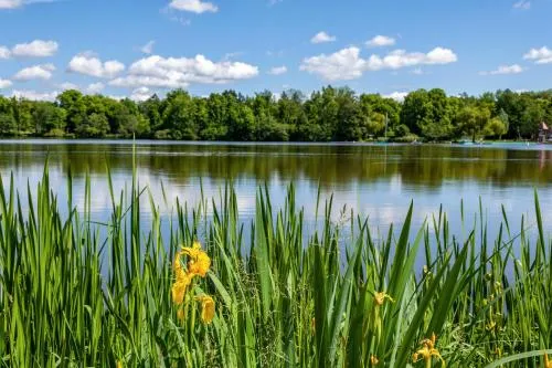 Fewo am Stadtsee - Bad Waldsee in Bad Waldsee, Deutschland