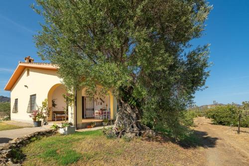 Villa Oliveto - Calasetta