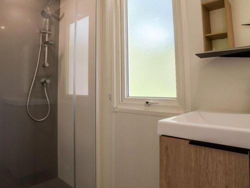 Mobil-home - Clim - 4 pers. - API-1-52-2469 in Molans Revela