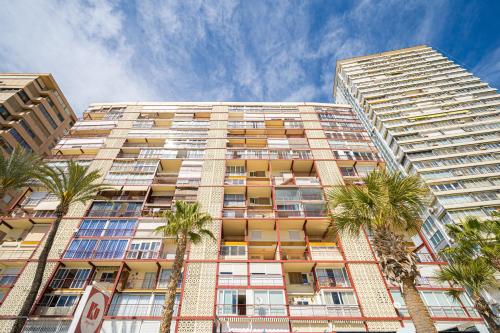 Wg1 Benidorm - image 2