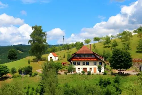 Ferienhaus Hubhof in Oberharmersbach, Deutschland