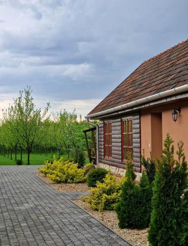 Dārzs, Szilvaliget Vendégház (Szilvaliget Vendeghaz) in Tolksva