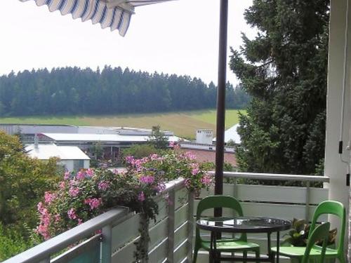 Städtle-Blick in Hayingen, Deutschland