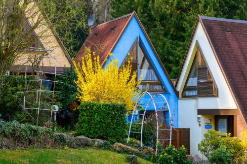 Gîte Au Bleuet À Kaysersberg - - Location saisonnière - Kaysersberg-Vignoble