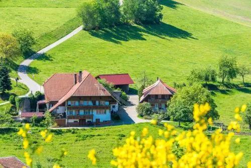 Prinzbachhof in Mühlenbach, Deutschland