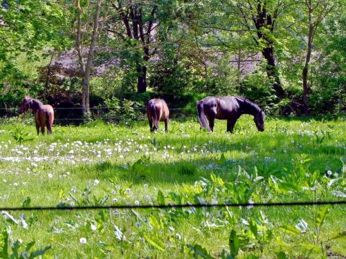 Hotelli välisilme, Ferienwohnung Mulleby in Behrendorf