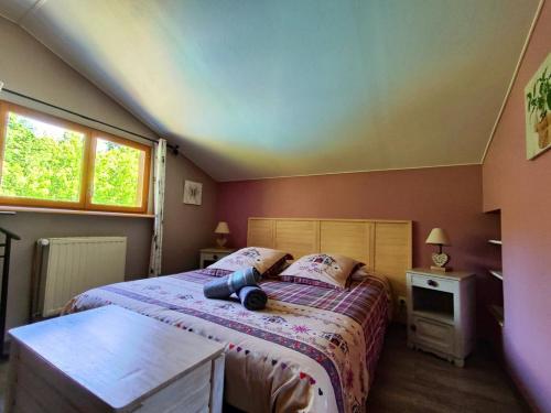 Viesnīcas āriene, Le Chalet Cosy piscine et spa in Weiterswiller