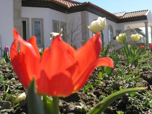 Casa de Alpajares - Guest House & Spa