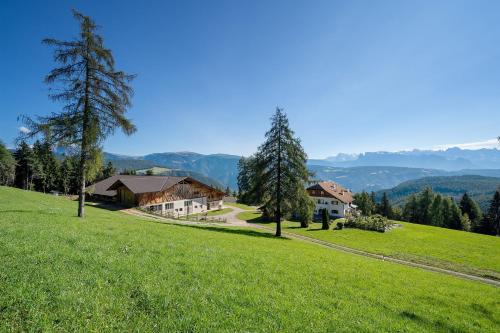 Stücklhof Wohnung Edelweiss