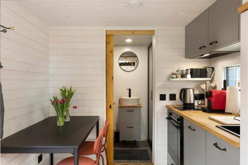virtuve, Tiny House Nr 6 in Schwielowsee
