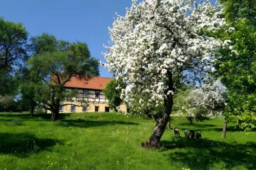 Ferienwohnung Böhme in Grünhain-Beierfeld, Deutschland