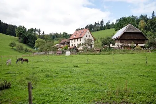Ruhbauernhof in Kirchzarten, Deutschland