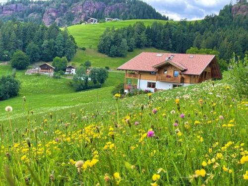 Hotelli välisilme, Thalerhof Appartement Verena in Verano