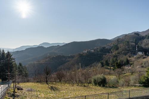 Limoni, Molazzana (foto 8)