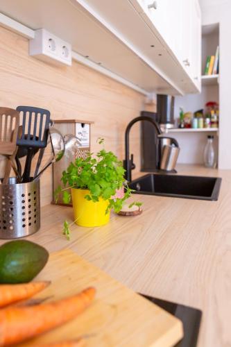 Kitchen, Ferienwohnung Jungblut in Schlitz in Schlitz