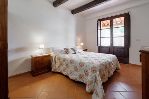 Ginepro Poderone, Grosseto (Foto 2)