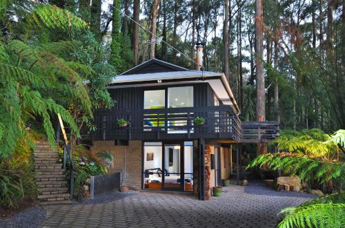 Misty Woods Retreat Olinda Mount Dandenong Ranges