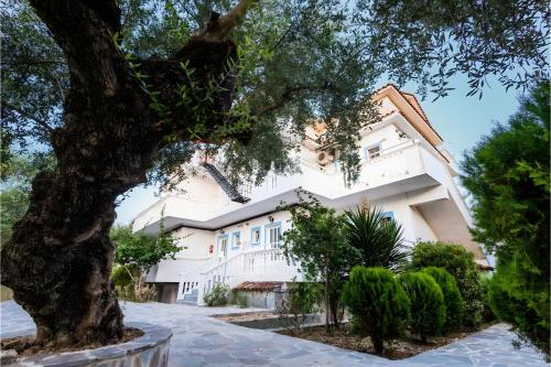 Tamar Apartments, Laganas chambre d'hôte Agios Sostis