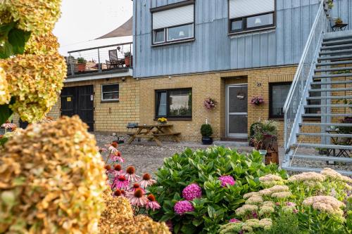 Traumland in Hollingstedt, Deutschland