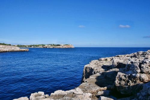 Posidonia - main image