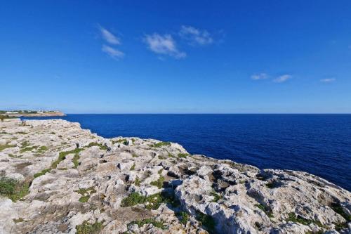 Posidonia - image 11