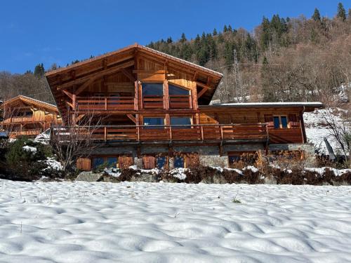 Chalet face au Mont Blanc wellnes gîte à louer Mernex