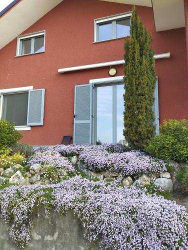 Dragonfly House, Alloggio in casa bifamigliare in Roletto