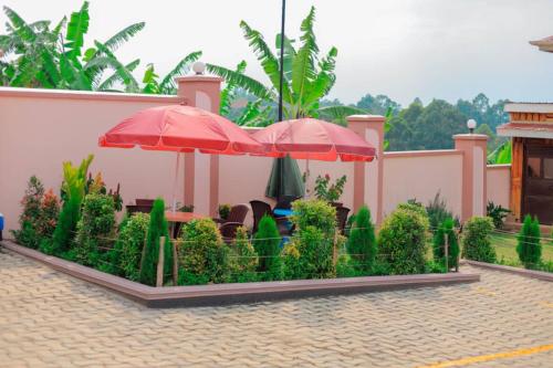 Skats, Innos Royale Suites in Rukungiri