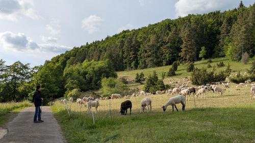 Ferienwohnung Eppler in Albstadt, Deutschland