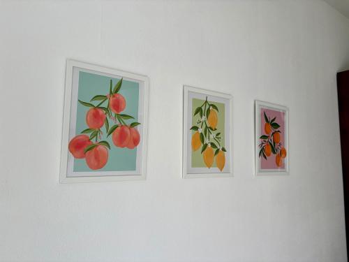 Italianway - Schiappacasse 11 - image 3